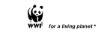 logowwf.jpg